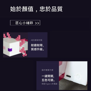 Minecraft 麥塊|蠑螈夜燈|第三方周邊 Minecraft