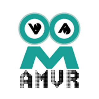 AMVR標誌 - 領先的VR配件品牌
